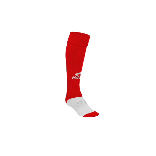 Chaussettes TEAM